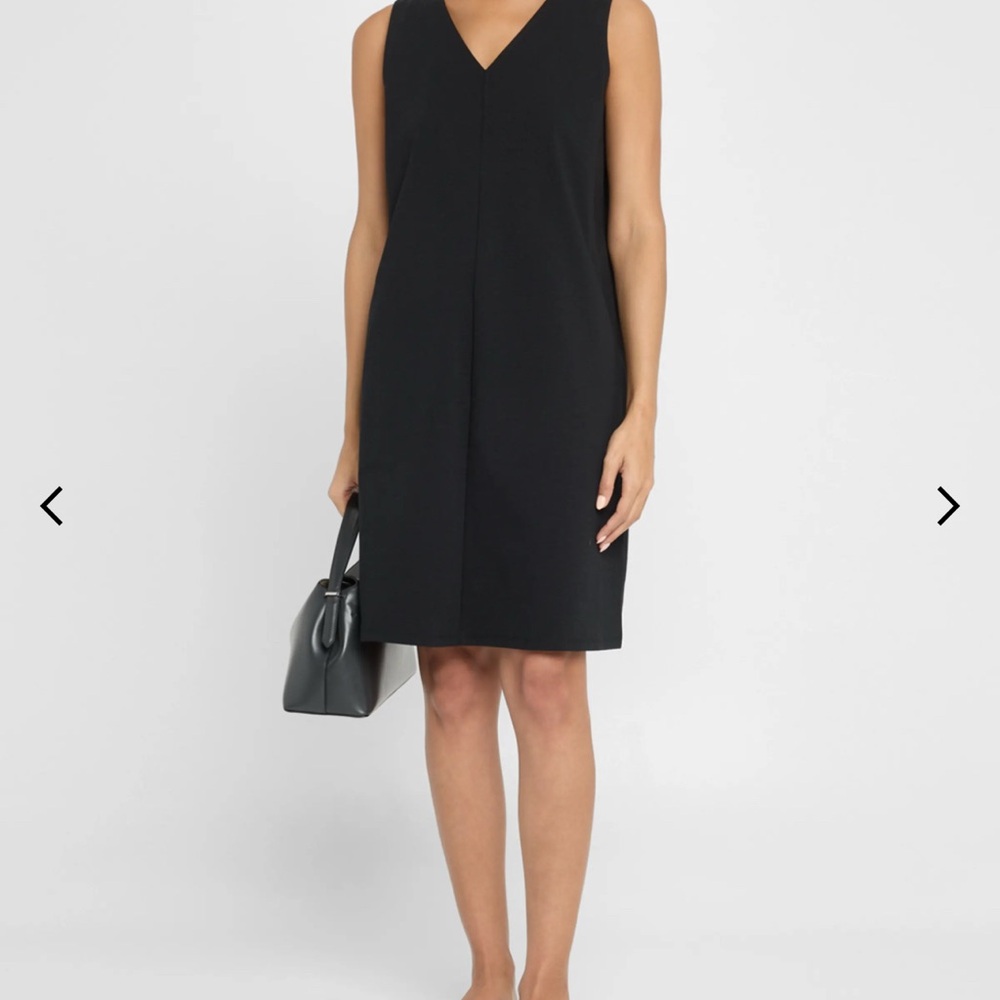 Eileen Fisher Elegant Black Sleeveless Dress